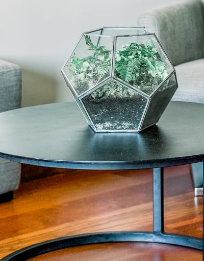 table basse noire avec une plante dessus