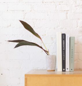 Une étagère avec dessus une plante et des livres