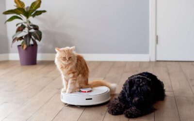 Robot Vacuum Face-off: iRobot Roomba vs Neato Botvac – Which to Choose