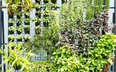 DIY Vertical Garden: Gardena vs Hozelock Irrigation Systems Compared